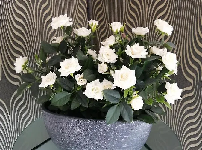 Schicke 2 Nah An Stuttgart Messe Flughafen Ostfildern